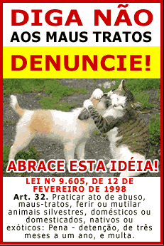 Diga N