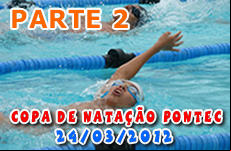 Copa de Nata